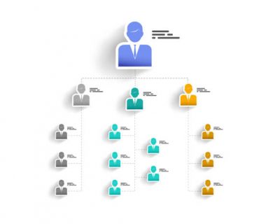 org chart